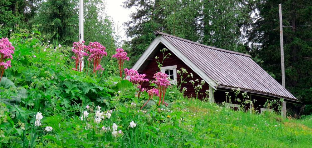Kumpareen takana näkyy punamultainen puutalo